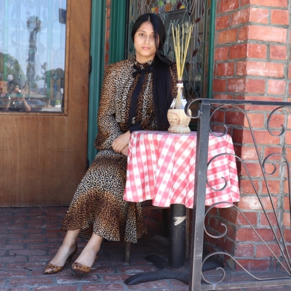 Dolce and Gabbana leopard dress